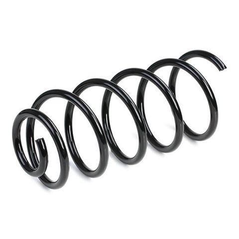 Ridex 188C0060 Coil Spring, photo 2