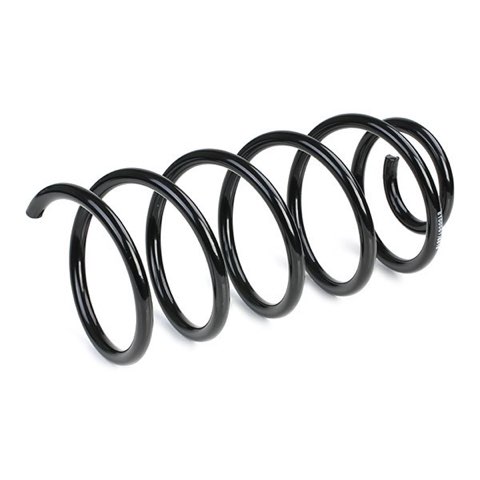 Ridex 188C0060 Coil Spring, photo 3