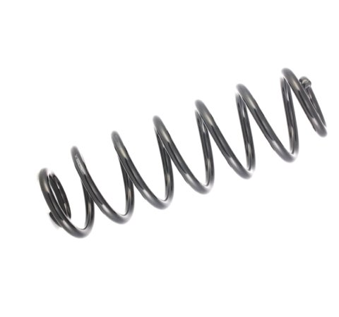 Ridex 188C0064 Coil Spring