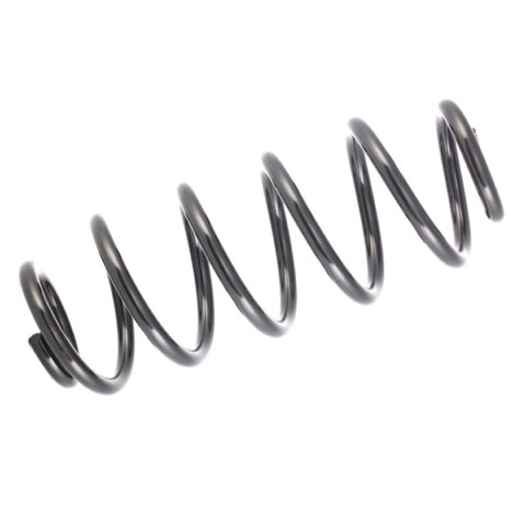 Ridex 188C0065 Coil Spring