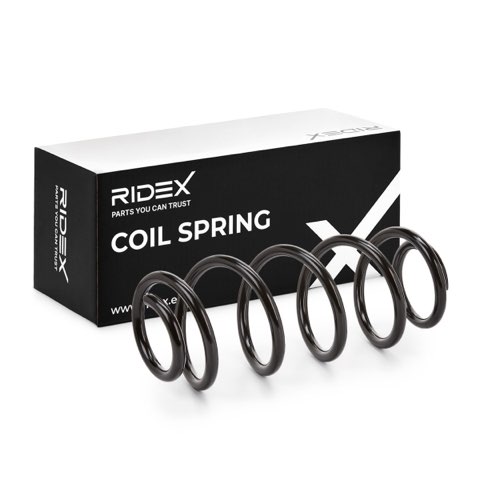 Ridex 188C0065 Coil Spring, photo 2