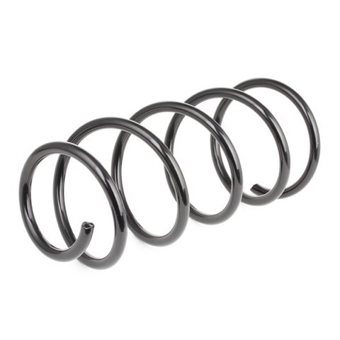 Ridex 188C0072 Coil Spring, photo 2