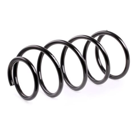 Ridex 188C0072 Coil Spring, photo 3