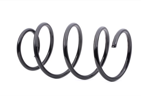 Ridex 188C0079 Coil Spring