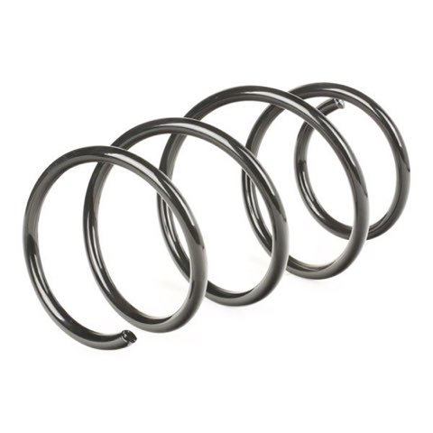Ridex 188C0079 Coil Spring, photo 3