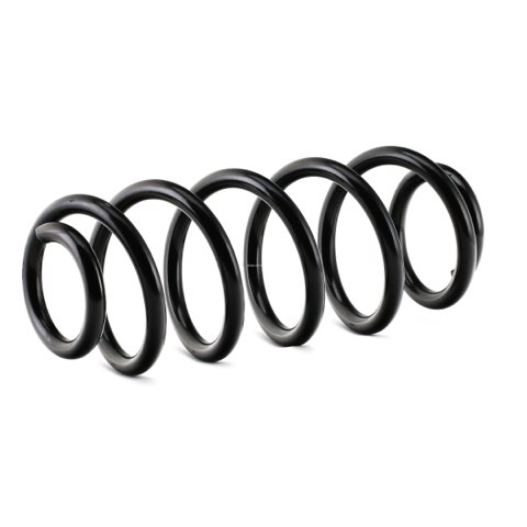 Ridex 188C0080 Coil Spring
