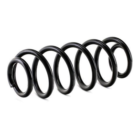 Ridex 188C0080 Coil Spring, photo 3