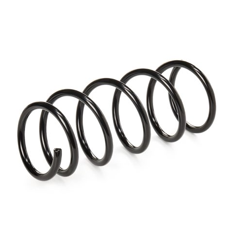 Ridex 188C0081 Coil Spring, photo 3