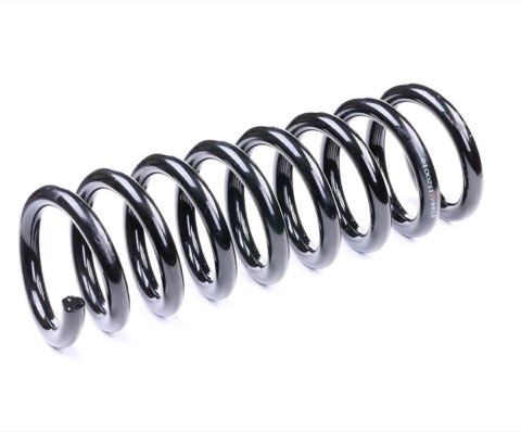 Ridex 188C0082 Coil Spring