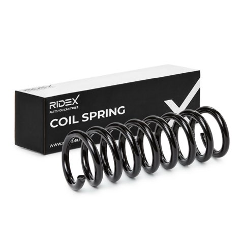 Ridex 188C0082 Coil Spring, photo 2