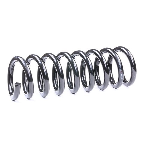 Ridex 188C0082 Coil Spring, photo 3
