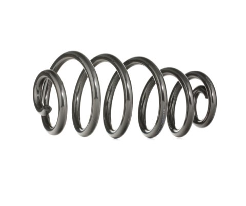 Ridex 188C0085 Coil Spring