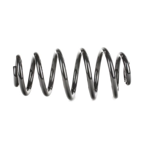 Ridex 188C0085 Coil Spring, photo 3
