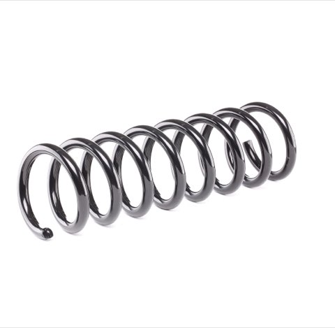 Ridex 188C0087 Coil Spring