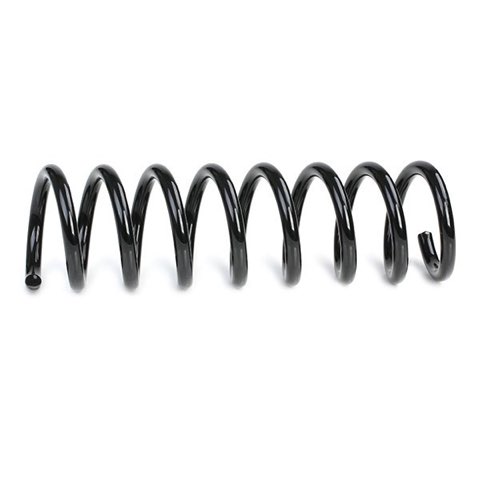 Ridex 188C0087 Coil Spring, photo 3