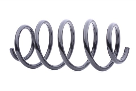 Ridex 188C0089 Coil Spring