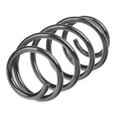 Ridex 188C0089 Coil Spring, photo 3