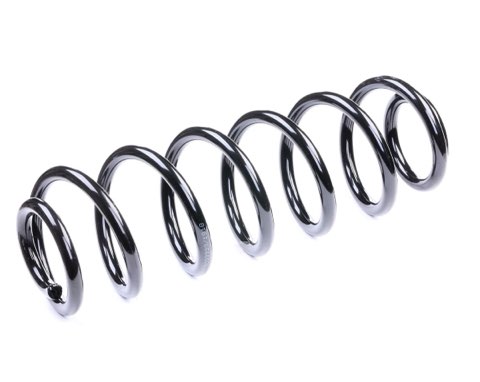 Ridex 188C0090 Coil Spring