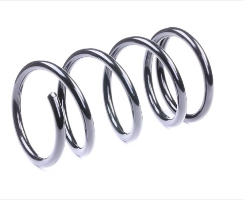 Ridex 188C0093 Coil Spring