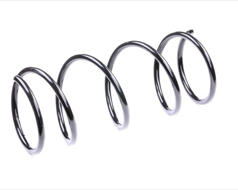 Ridex 188C0094 Coil Spring
