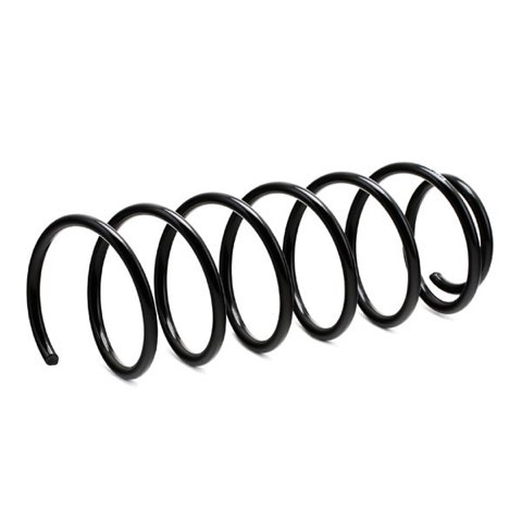 Ridex 188C0096 Coil Spring, photo 2