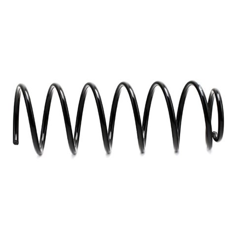 Ridex 188C0096 Coil Spring, photo 3