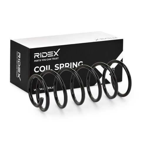 Ridex 188C0100 Coil Spring, photo 2