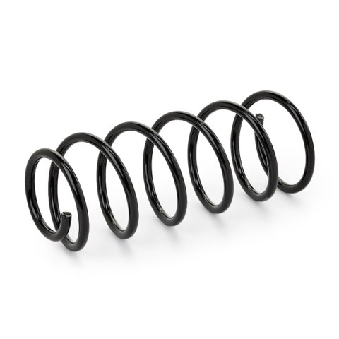 Ridex 188C0100 Coil Spring, photo 3