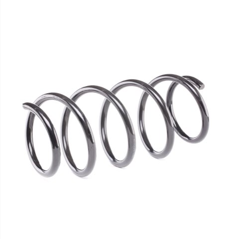 Ridex 188C0104 Coil Spring