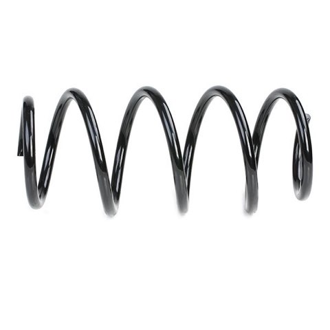 Ridex 188C0104 Coil Spring, photo 3