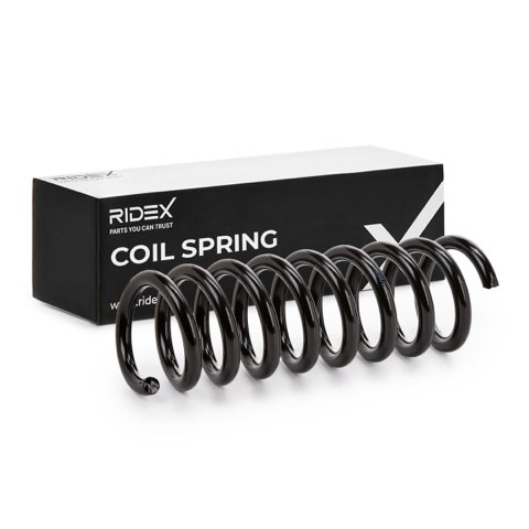 Ridex 188C0112 Coil Spring, photo 2