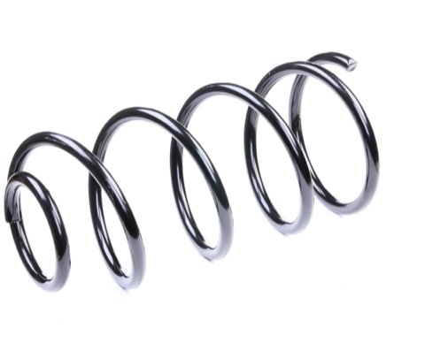 Ridex 188C0113 Coil Spring