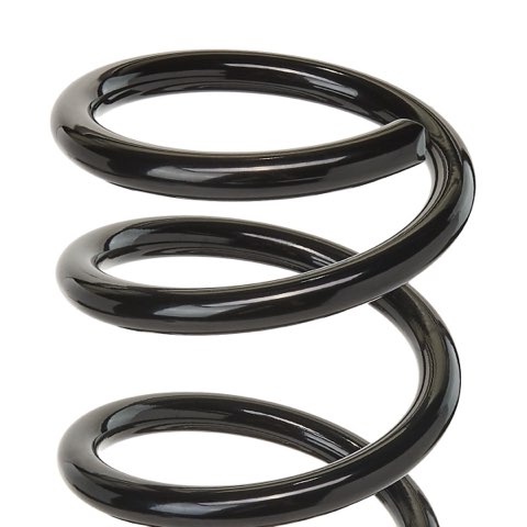 Ridex 188C0115 Coil Spring, photo 3