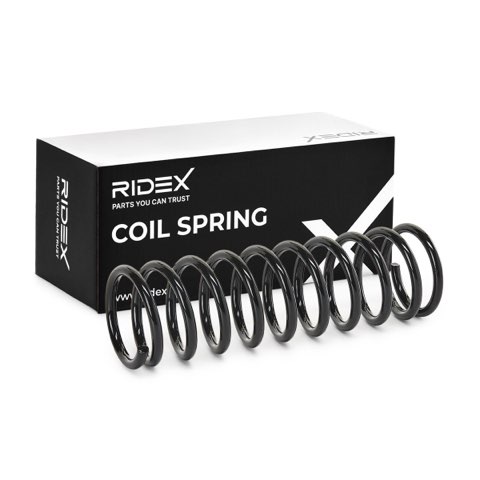 Ridex 188C0119 Coil Spring