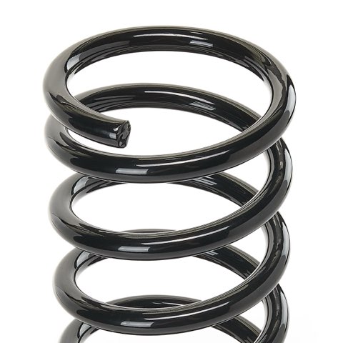 Ridex 188C0119 Coil Spring, photo 3
