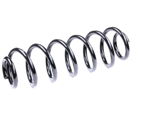 Ridex 188C0125 Coil Spring