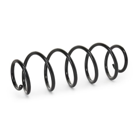 Ridex 188C0128 Coil Spring, photo 2