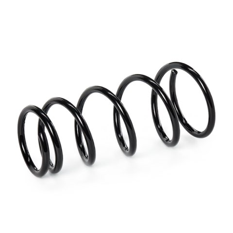 Ridex 188C0136 Coil Spring, photo 3