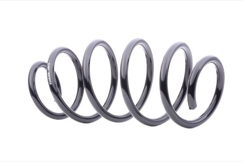 Ridex 188C0140 Coil Spring