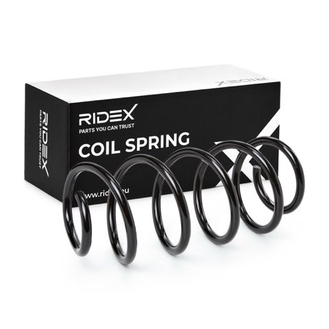 Ridex 188C0140 Coil Spring, photo 2