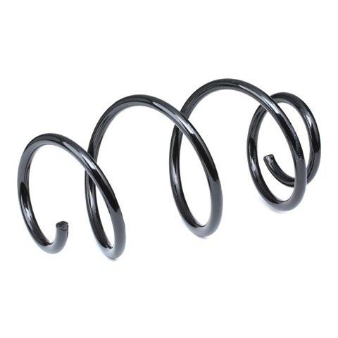 Ridex 188C0142 Coil Spring, photo 3