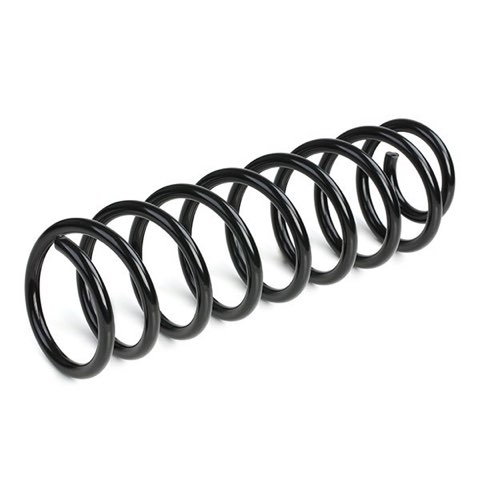 Ridex 188C0143 Coil Spring, photo 3
