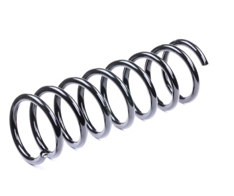 Ridex 188C0148 Coil Spring