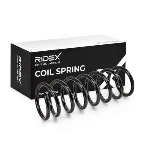 Ridex 188C0148 Coil Spring, photo 2