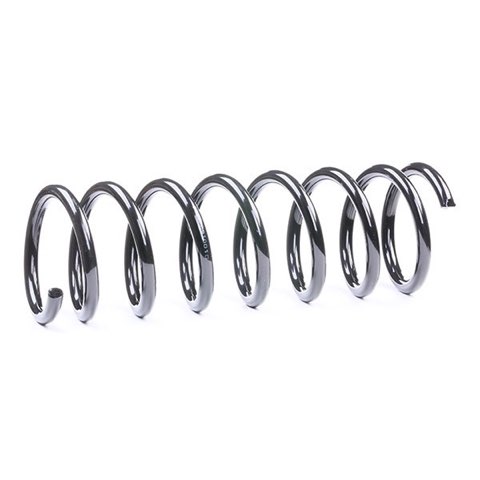 Ridex 188C0148 Coil Spring, photo 3