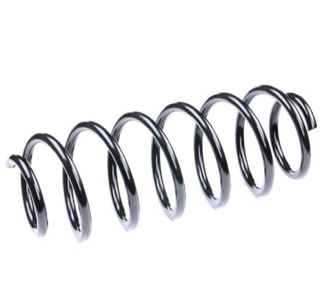 Ridex 188C0150 Coil Spring
