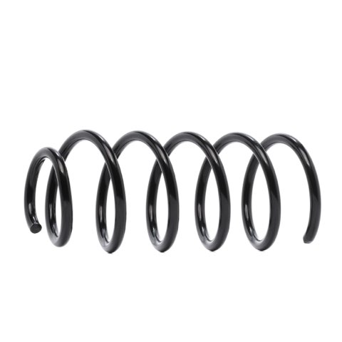Ridex 188C0153 Coil Spring