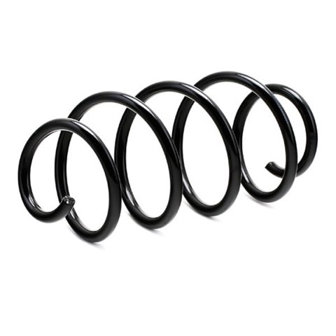 Ridex 188C0155 Coil Spring, photo 3