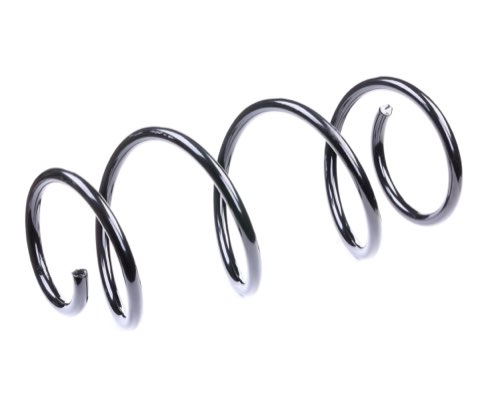 Ridex 188C0165 Coil Spring