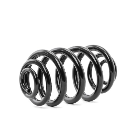 Ridex 188C0166 Coil Spring